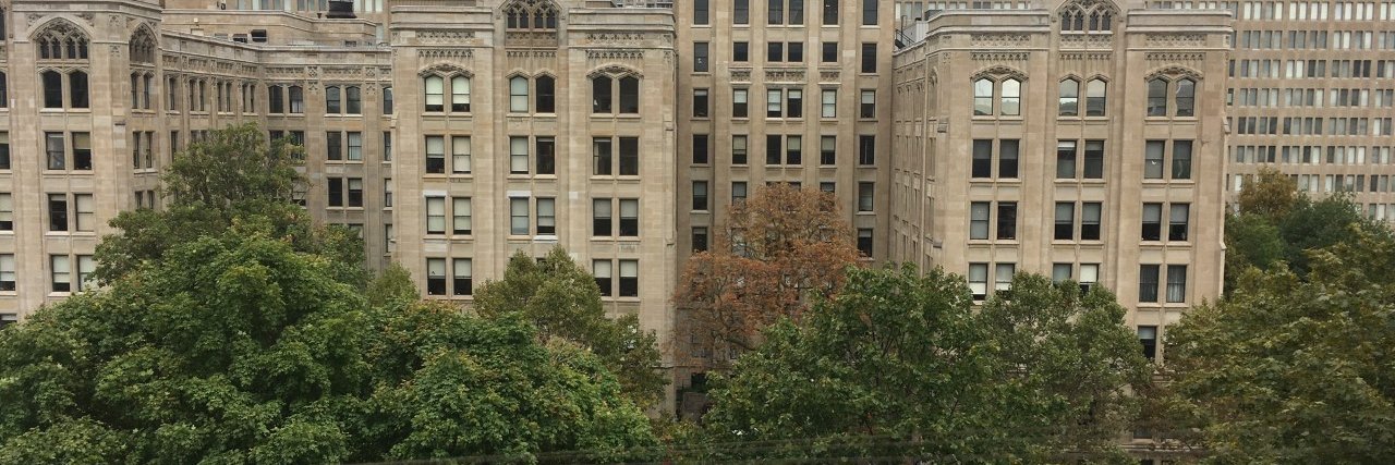 Antonella Artuso banner