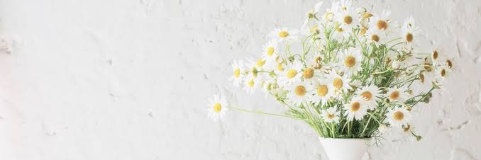 ncad_s's profile banner image