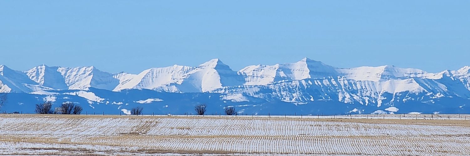 Dr.Alberta Bacon banner