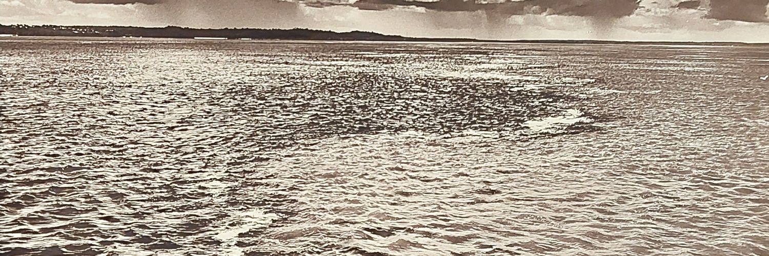 VanianeryN's profile banner image