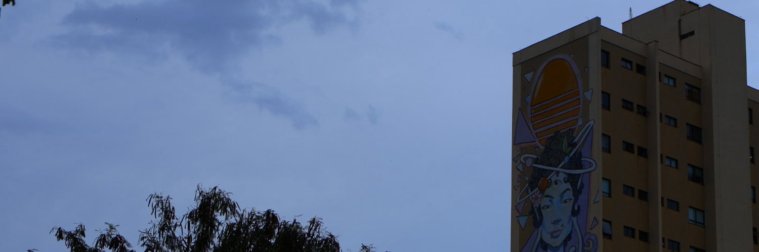 snottboy's profile banner image