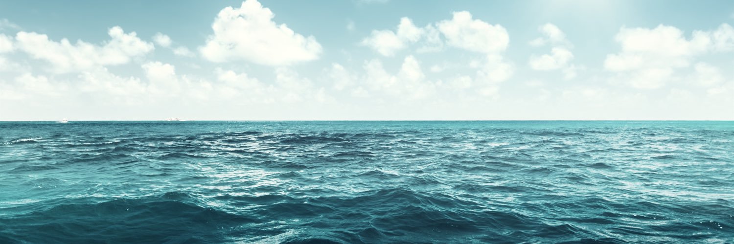P3Petry's profile banner image