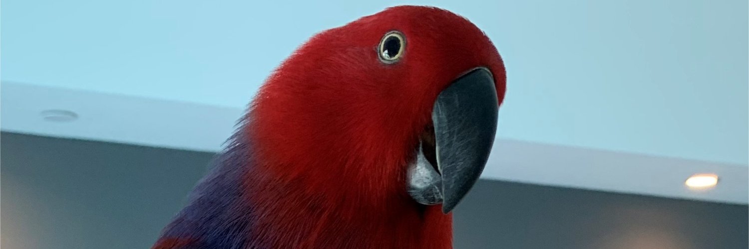 amandaanne's profile banner image