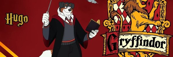 hugopatiperro Profile Banner