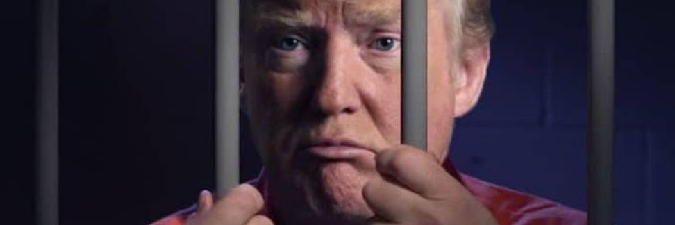 Lisa MiLo aka Harley 🐾🌈✊🏿🗽🇺🇸🌎💜 banner