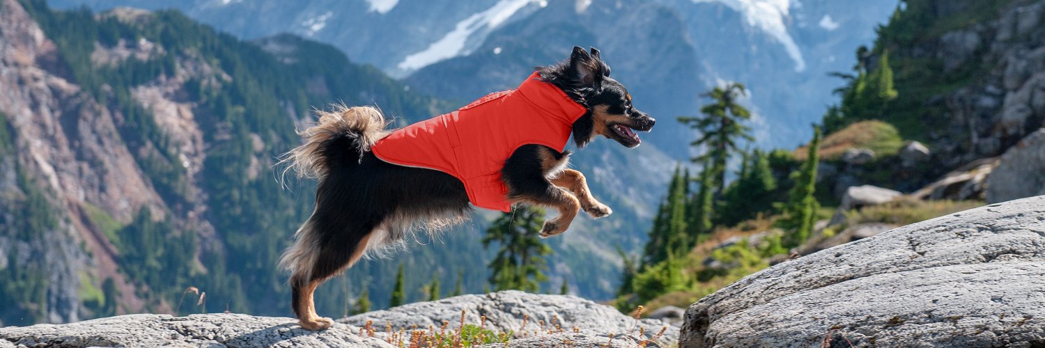 furhavenpet's profile banner image
