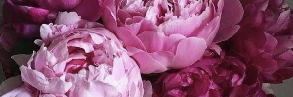 CzaczaG Profile Banner
