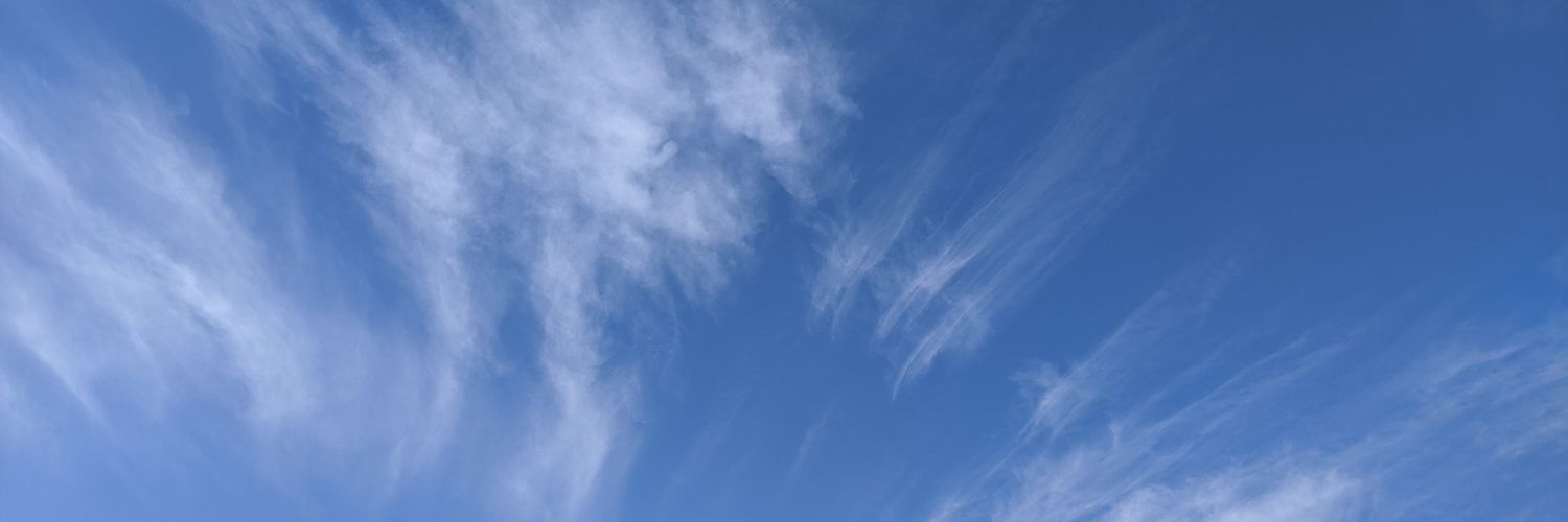gonbeiikaruno's profile banner image