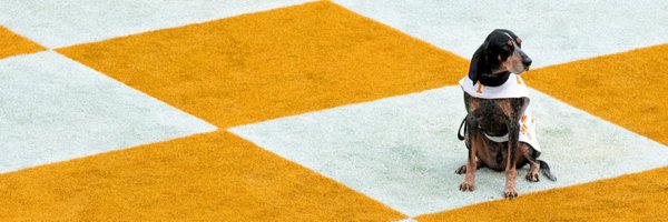 sarahmacdavy Profile Banner