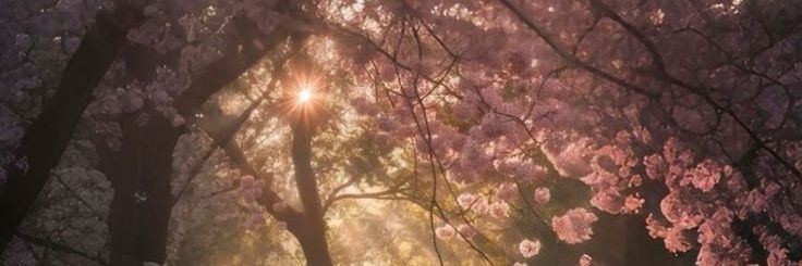 gomufeels's profile banner image
