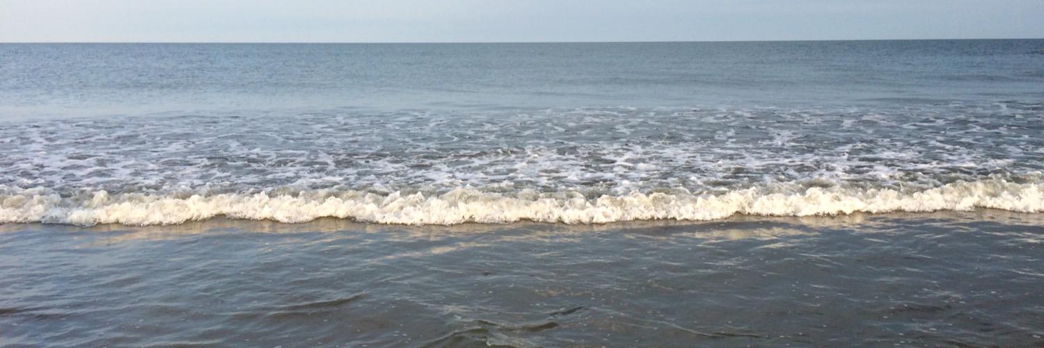cherringland's profile banner image