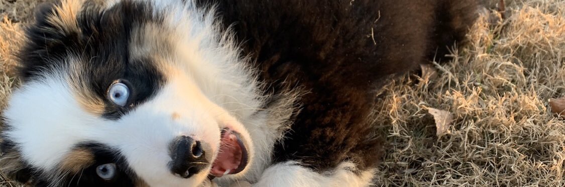 brainsteves's profile banner image