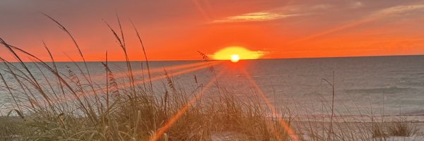 TNFLManDad Profile Banner