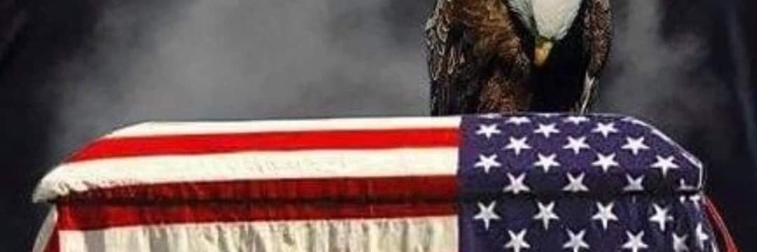 FreedomFight100's profile banner image