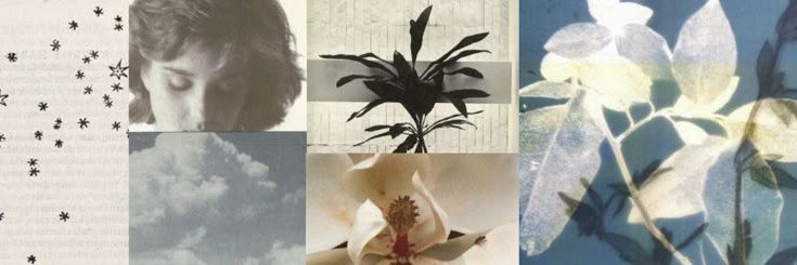 SoheeIssue's profile banner image