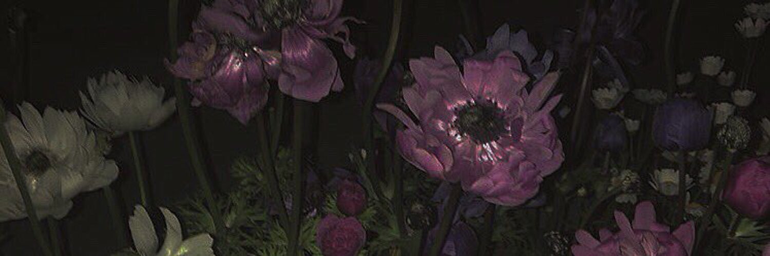 𝒽𝒶𝓇𝓊𝓀𝒶 ໒꒱ ‧₊˚ banner