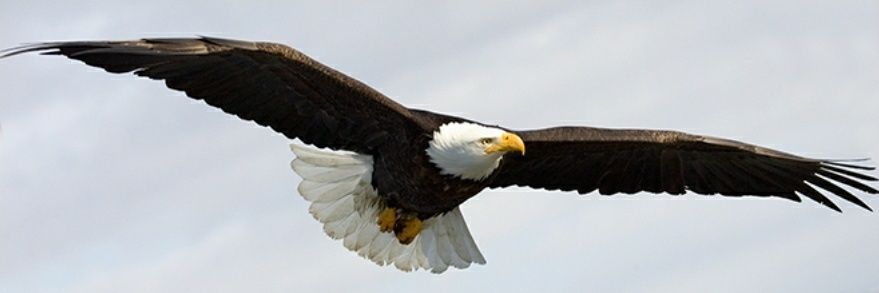 Sarmcastic's profile banner image