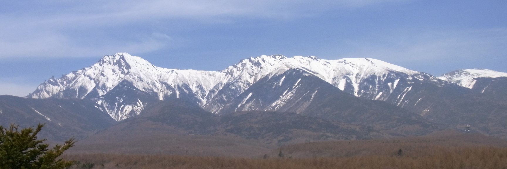 井口耕二 a.k.a. Buckeye banner