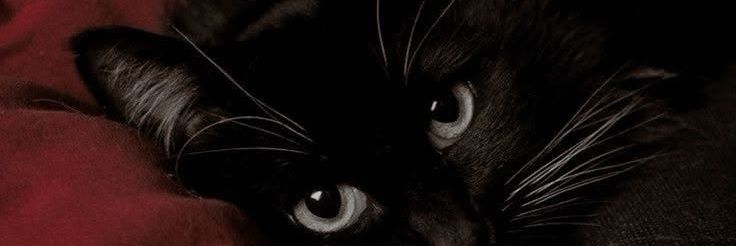namginotes's profile banner image