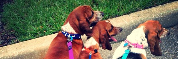 mclemon13 Profile Banner