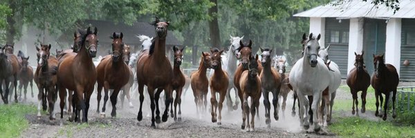 cloudcom Profile Banner