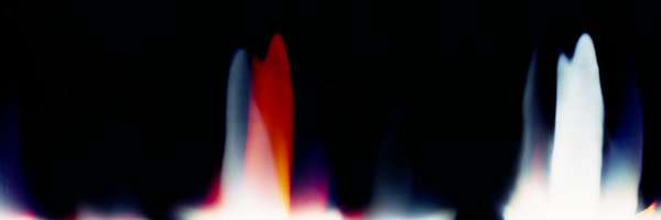 TPM_Photo Profile Banner