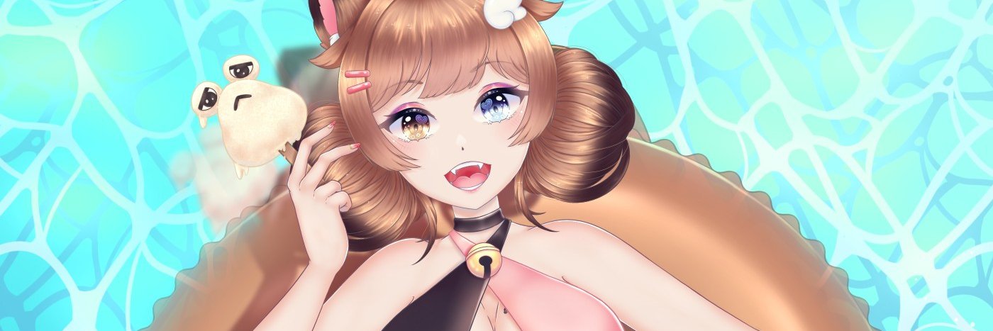 ElRacoon banner