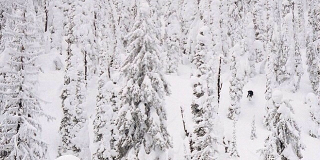 brookegeery's profile banner image