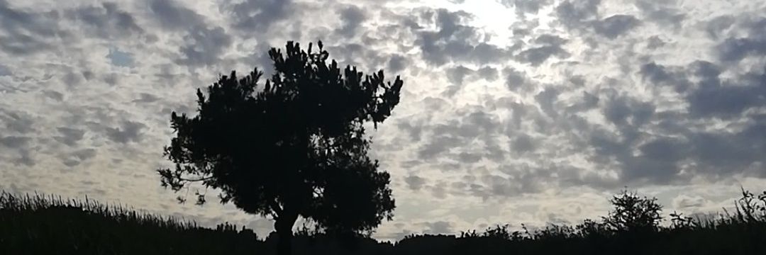 noeliaafs's profile banner image