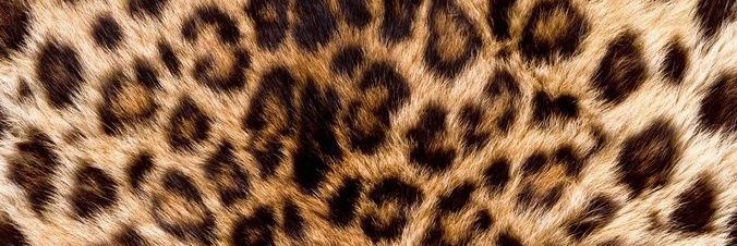 irem banner