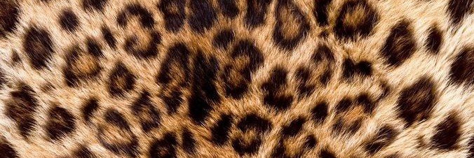 irusyova's profile banner image