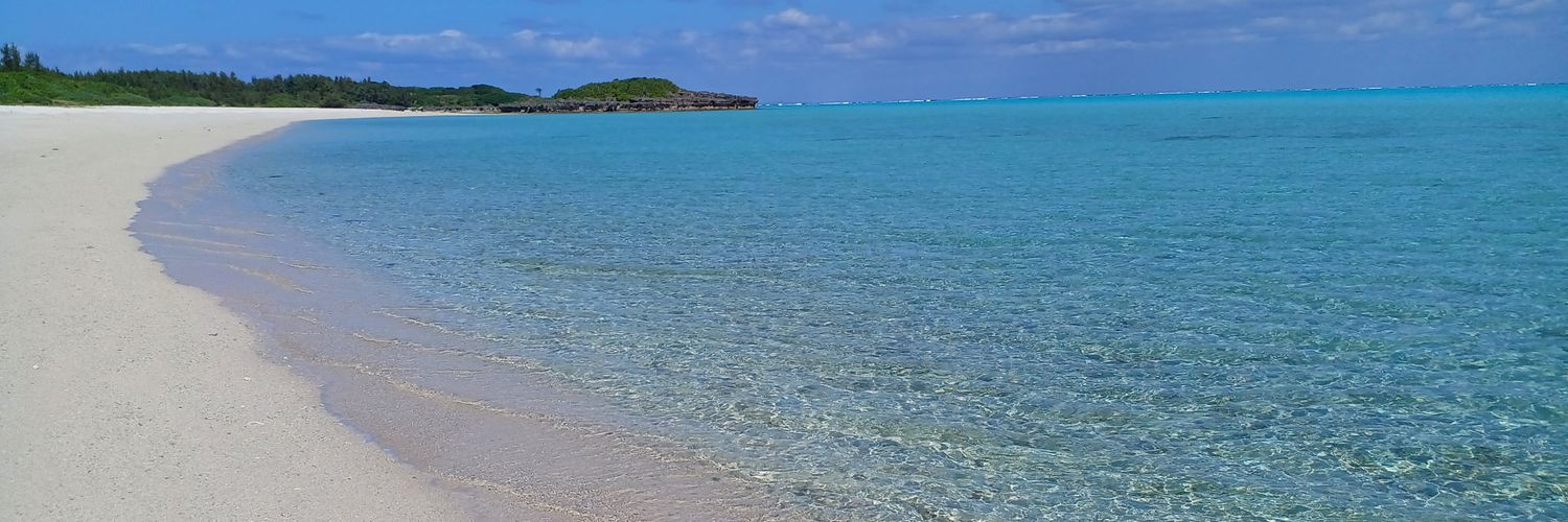 🌈真也🏝️'s banner