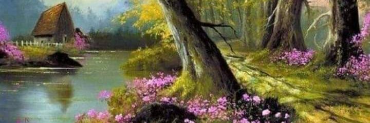 mohamed siddeek banner