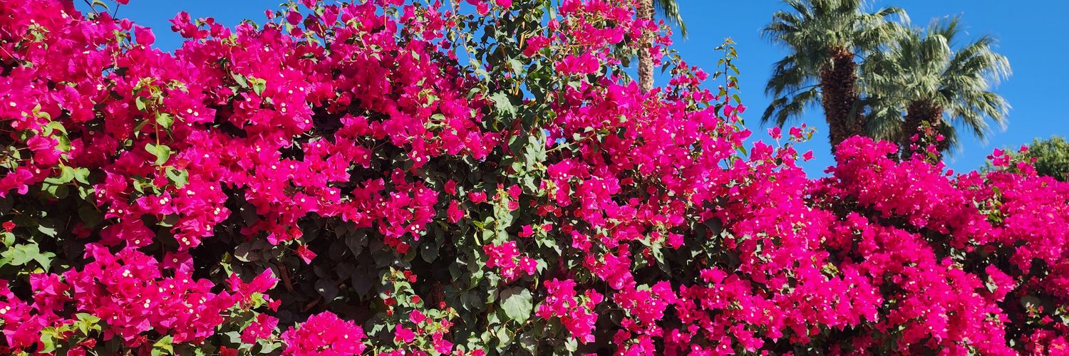 Keith Lambert banner