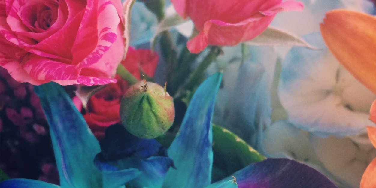 devonkate's profile banner image
