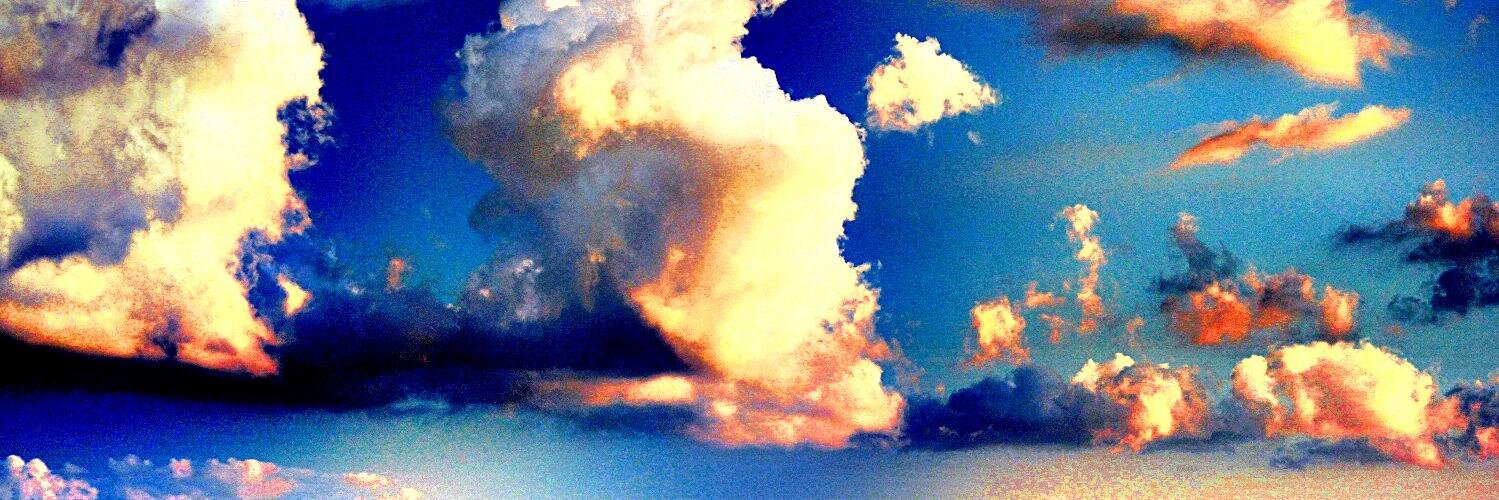 Professor Berlinghoff Rasmussen (parody) banner