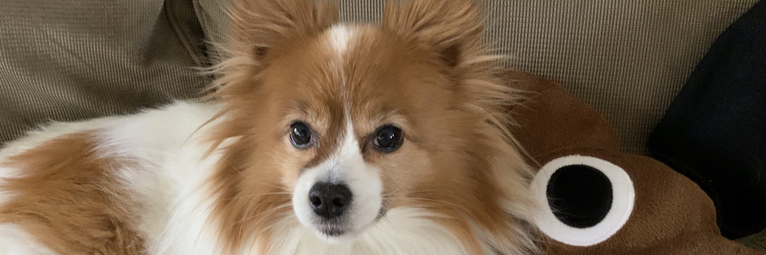 GregoryReed's profile banner image
