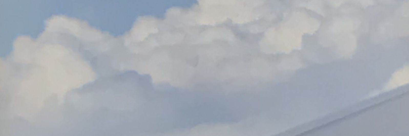 Null's banner