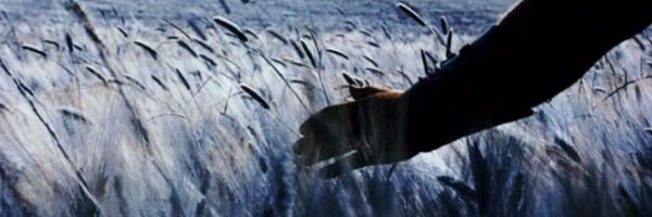 sentinel2246 Profile Banner