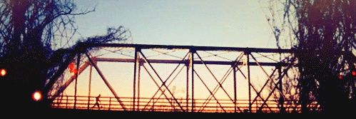 anissa_c's profile banner image