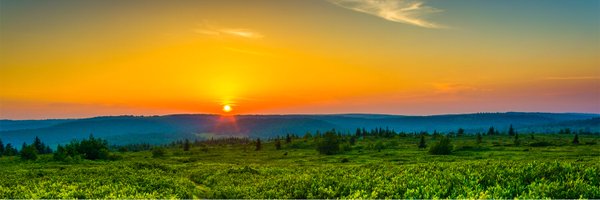 CapitoforWV Profile Banner