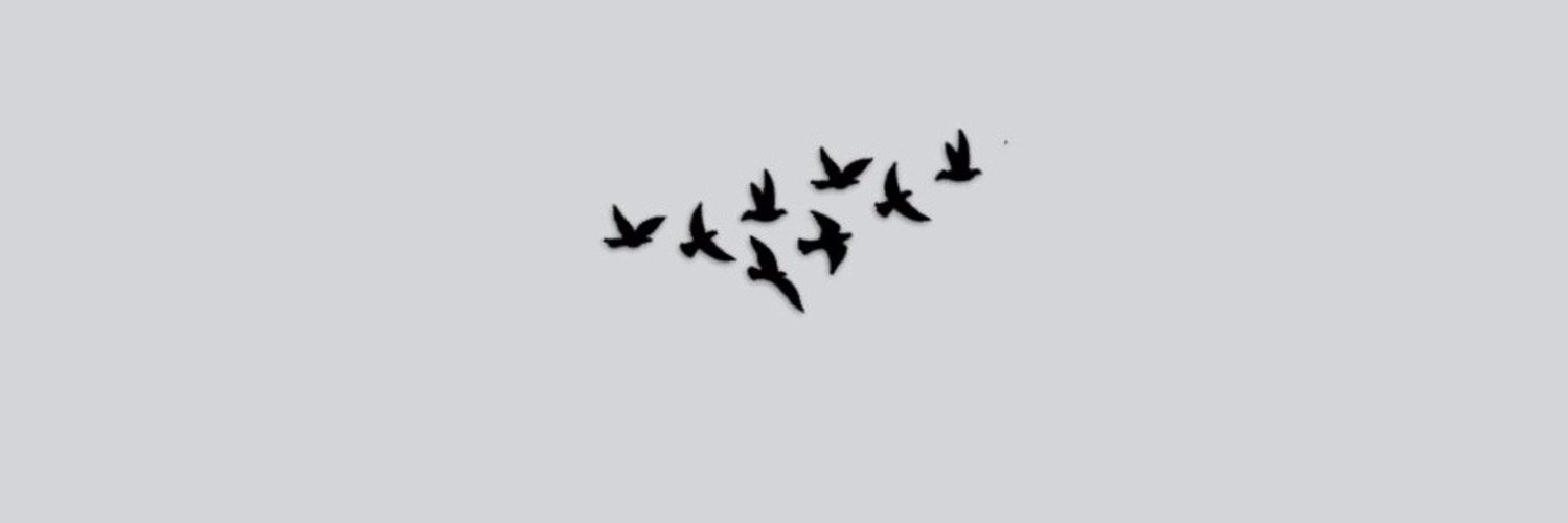 LSiniger's profile banner image