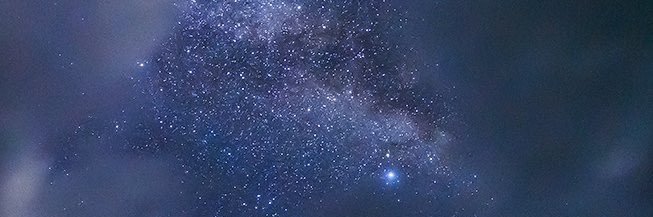 たか banner