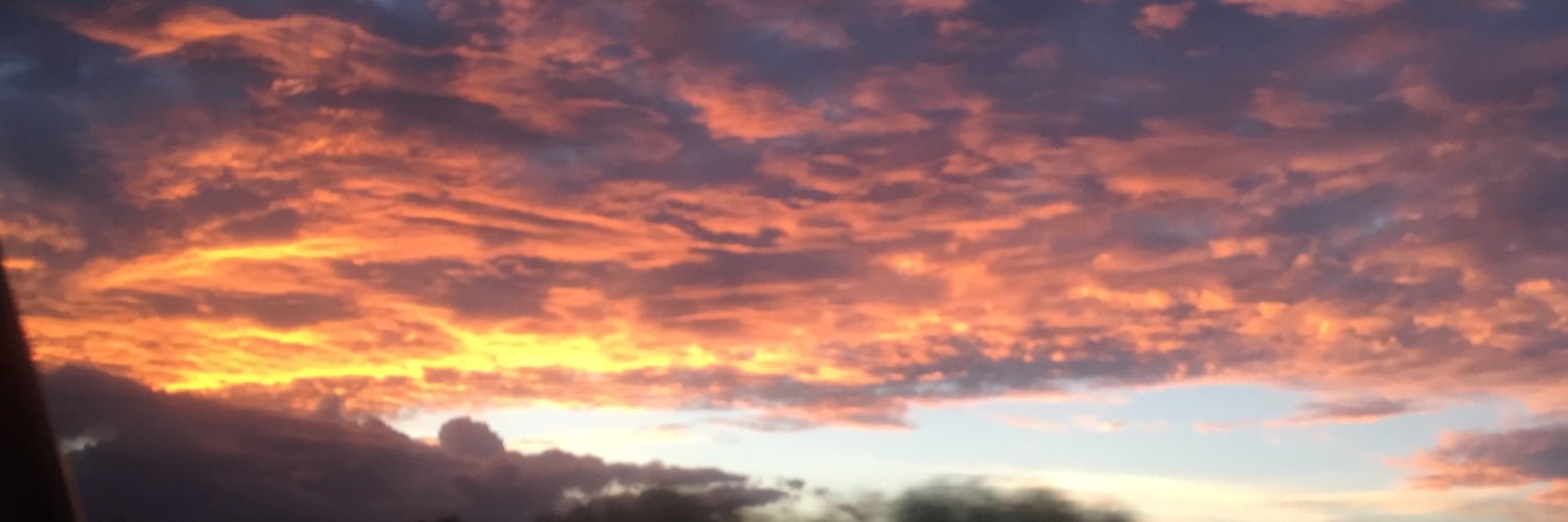 Brennan White banner