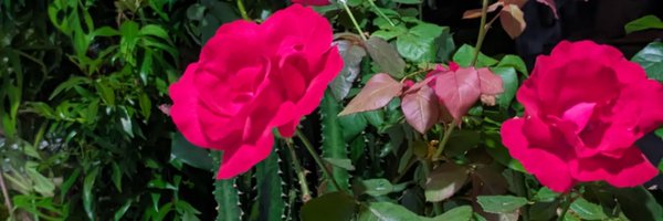 govind_455 Profile Banner