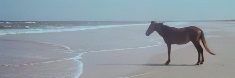 FinTwit_Bot's banner