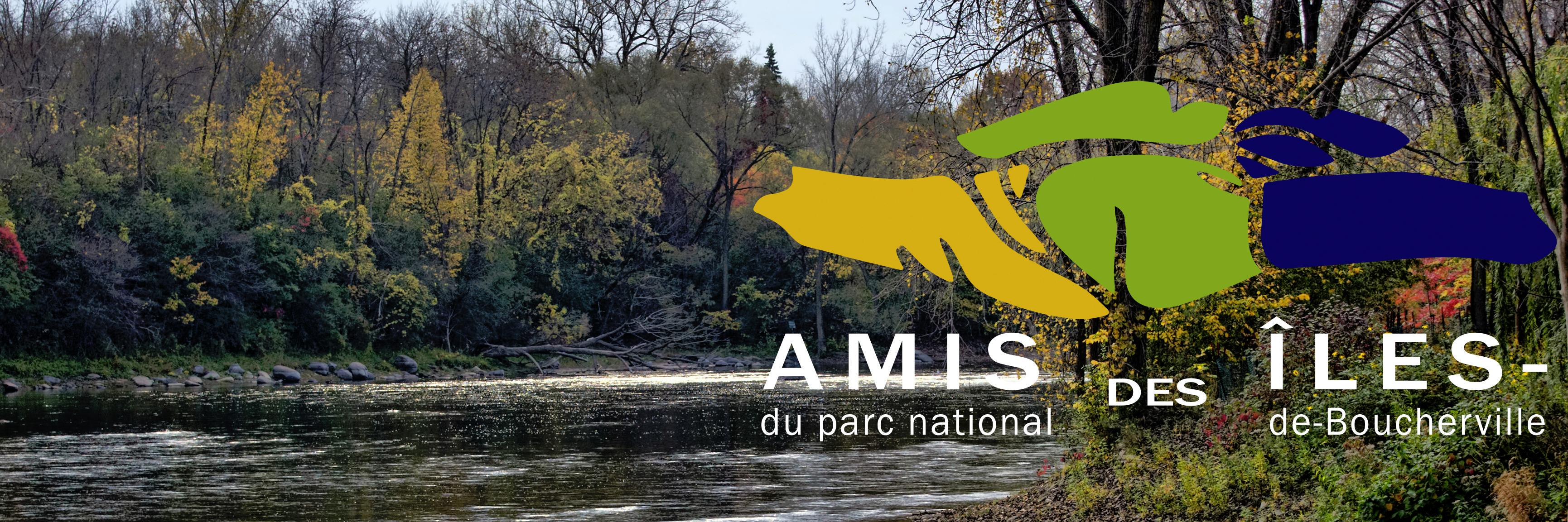 amiduparc's profile banner image