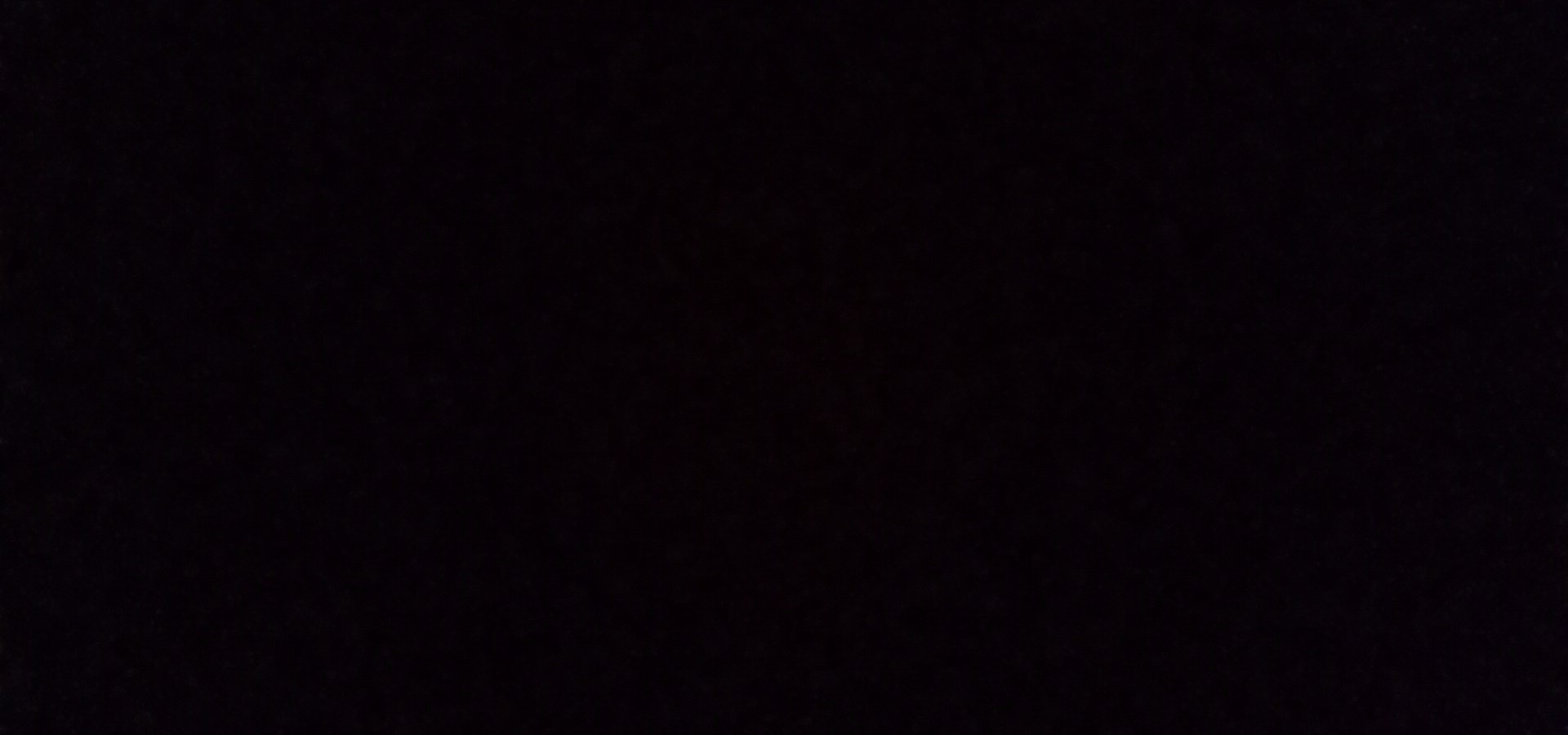 luciann. banner