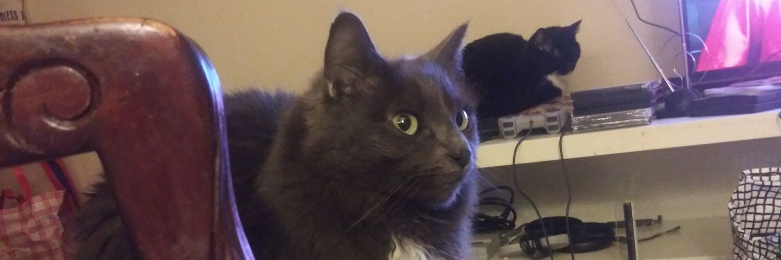 whitewolf86's profile banner image