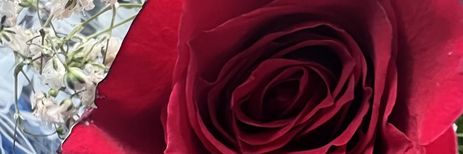 _dollfacetea's profile banner image